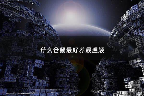 什么仓鼠最好养最温顺 - 哪种仓鼠最容易养活