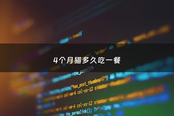 4个月猫多久吃一餐 - 4个月的猫一天吃几顿