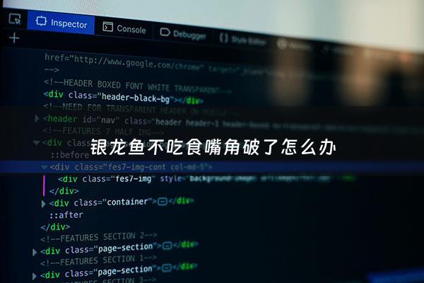 银龙鱼不吃食嘴角破了怎么办 - 银龙鱼嘴巴前面烂掉