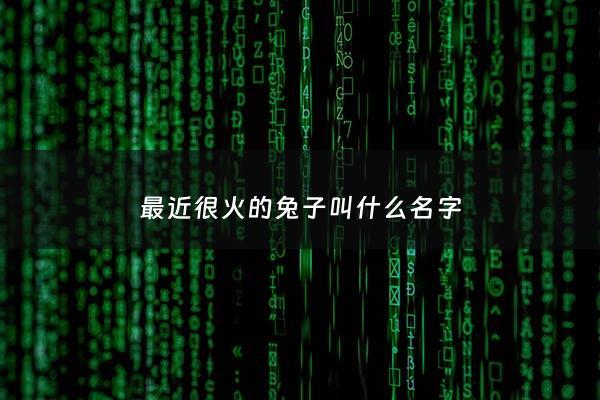 最近很火的兔子叫什么名字 - 最近很火的兔子叫什么名字啊