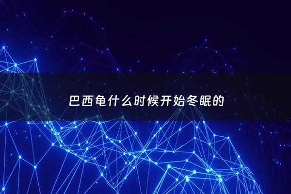 巴西龟什么时候开始冬眠的 - 巴西龟什么时候开始冬眠冬天怎么养