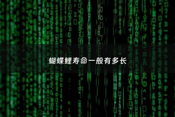 蝴蝶鲤寿命一般有多长 - 蝴蝶鲤最长能活几年
