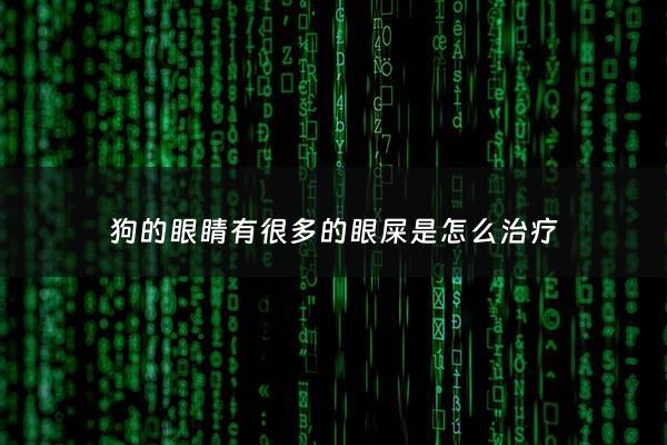 狗的眼睛有很多的眼屎是怎么治疗 - 狗的眼睛好多眼屎