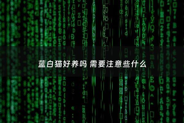 蓝白猫好养吗 需要注意些什么 - 蓝白猫好养吗需要注意些什么