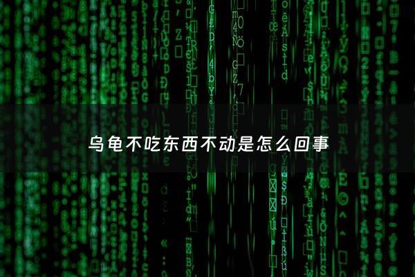 乌龟不吃东西不动是怎么回事 - 乌龟不吃食不怎么动怎么办