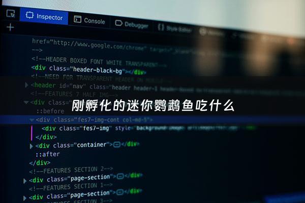 刚孵化的迷你鹦鹉鱼吃什么 - 刚孵化的迷你鹦鹉鱼吃什么饲料