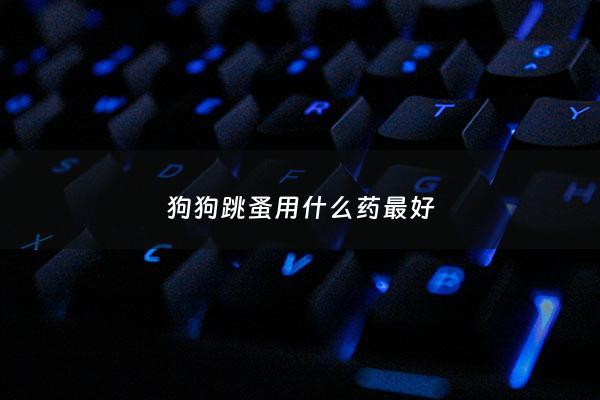 狗狗跳蚤用什么药最好 - 狗跳蚤吃什么药