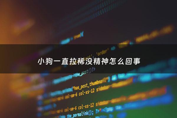 小狗一直拉稀没精神怎么回事 - 狗狗一直拉稀没精神