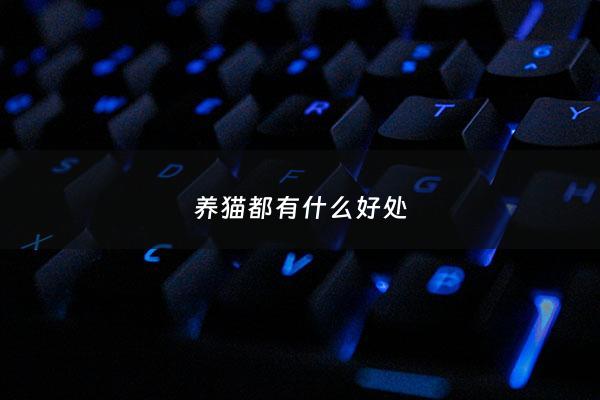 养猫都有什么好处 - 养猫有什么好处医生讲解