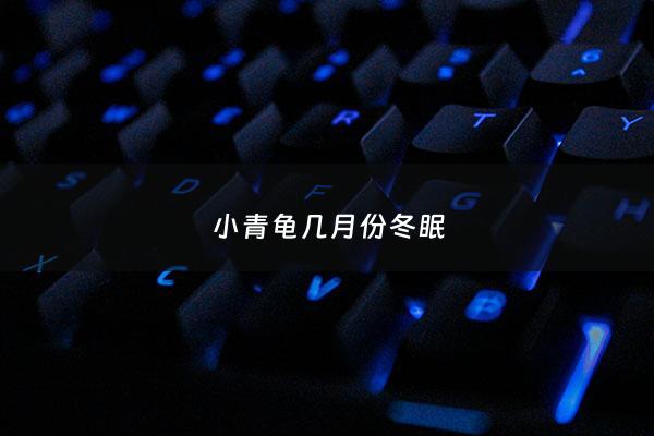 小青龟几月份冬眠 - 小青龟适宜温度