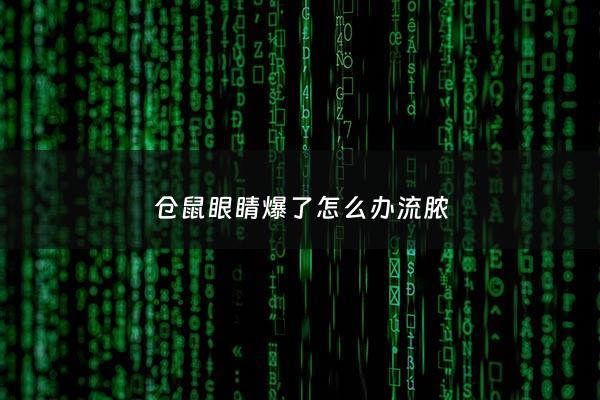 仓鼠眼睛爆了怎么办流脓 - 仓鼠眼睛发脓是怎么回事