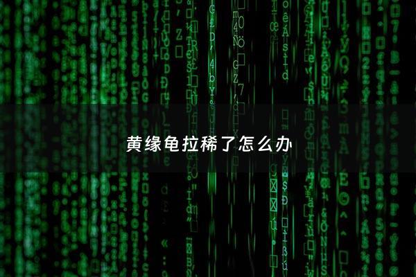 黄缘龟拉稀了怎么办 - 黄缘龟拉屎拉水里还是土里