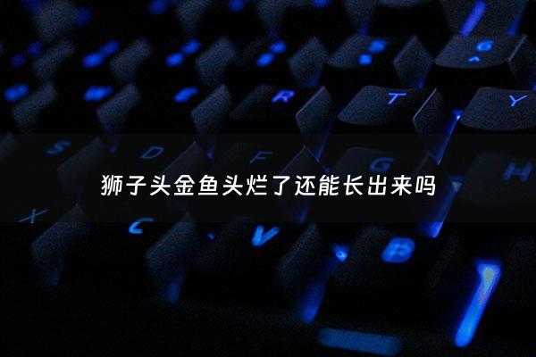 狮子头金鱼头烂了还能长出来吗 - 狮头金鱼头烂了以后该怎么治