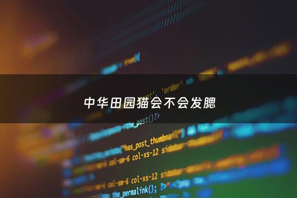 中华田园猫会不会发腮 - 中华田园猫易发病