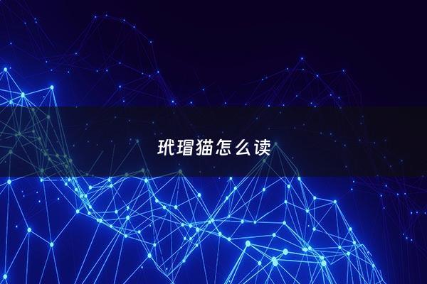 玳瑁猫怎么读 - 玳瑁猫又叫什么