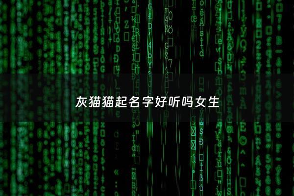 灰猫猫起名字好听吗女生 - 灰猫名字可爱洋气
