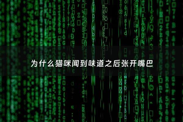 为什么猫咪闻到味道之后张开嘴巴 - 为什么猫咪闻到味道之后张开嘴巴呢