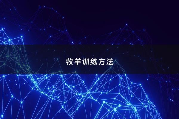 牧羊训练*** - 牧羊训练******