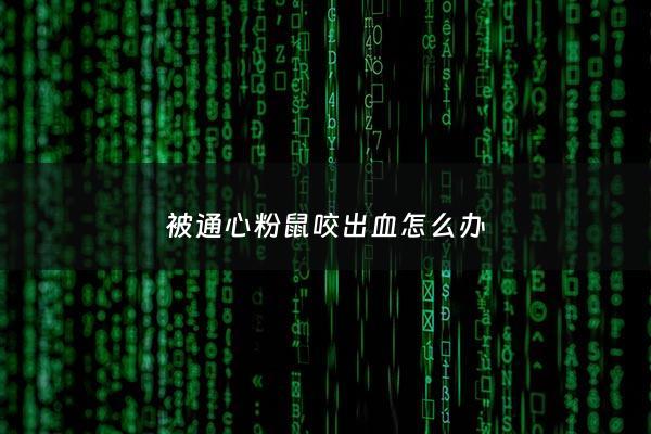 被通心粉鼠咬出血怎么办 - 被通心粉鼠咬出血怎么办啊