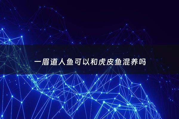 一眉道人鱼可以和虎皮鱼混养吗 - 一眉道人鱼能和别的什么鱼混养