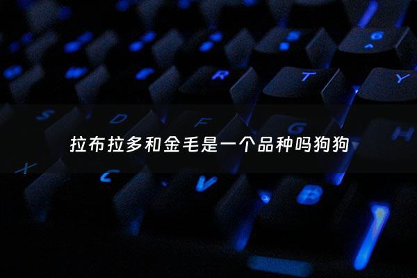 拉布拉多和金毛是一个品种吗狗狗 - 拉布拉多和金毛是一个品种吗狗狗怎么养