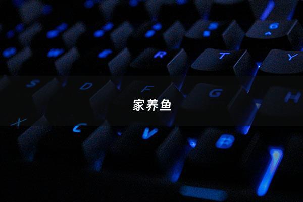 家养鱼 - 家养鱼几条最好