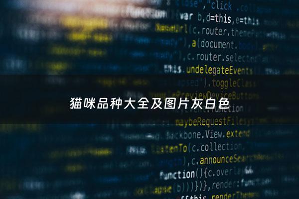 猫咪品种大全及图片灰白色 - 猫咪品种与图片