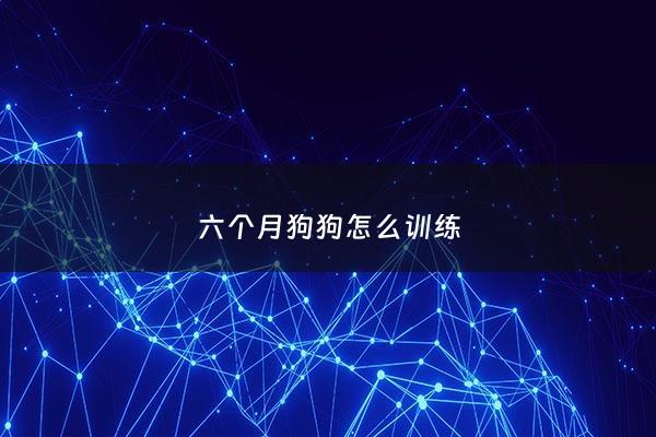 六个月狗狗怎么训练 - 六个月狗狗怎么训练拉屎