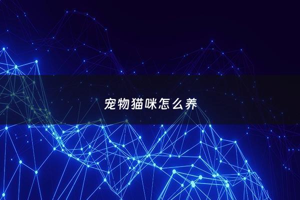 宠物猫咪怎么养 - 宠物猫怎样养