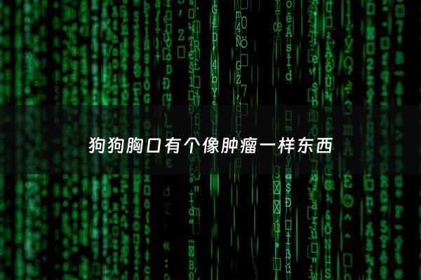 狗狗胸口有个像肿瘤一样东西 - 狗狗胸口有个大包