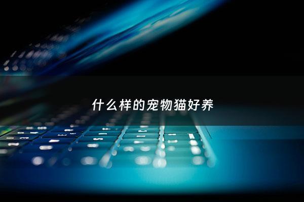 什么样的宠物猫好养 - 什么样的宠物猫好养一点