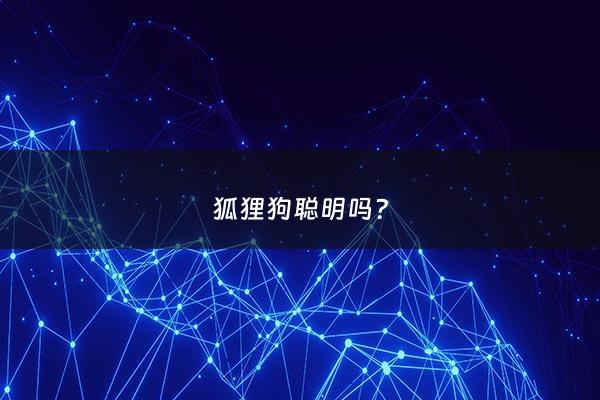 狐狸狗聪明吗? - 狐狸狗聪明吗图片