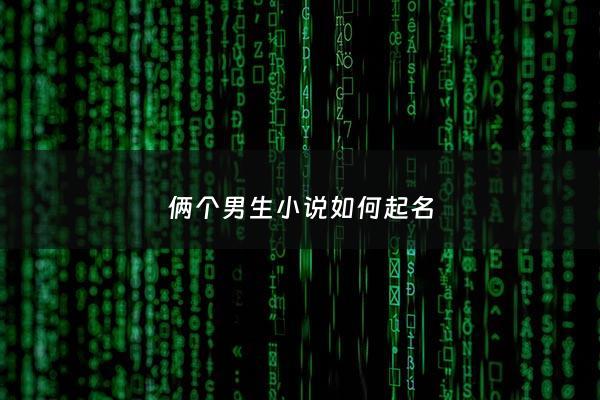 俩个男生小说如何起名 - 两个男生恋爱的小说