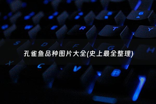 孔雀鱼品种图片大全(史上最全整理) - 孔雀鱼种类大全(值得收藏)