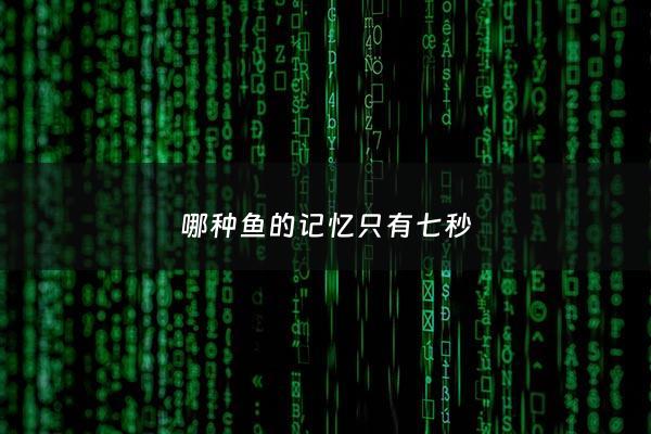 哪种鱼的记忆只有七秒 - 哪种鱼的记忆力时间最短