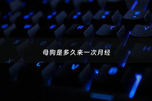 母狗是多久来一次月经 - 母狗是多久来一次月经正常