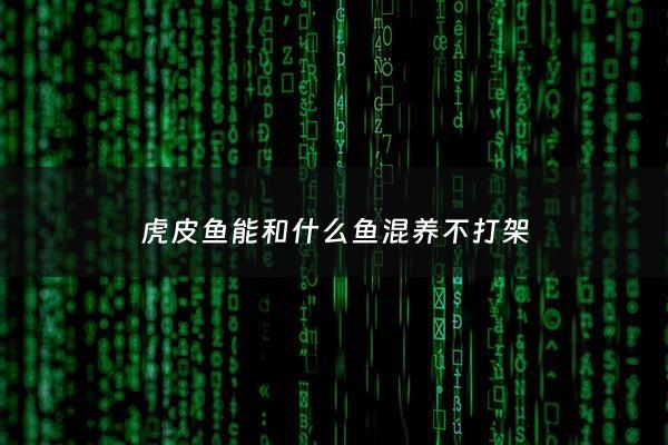 虎皮鱼能和什么鱼混养不打架 - 虎皮鱼和什么鱼混养好看