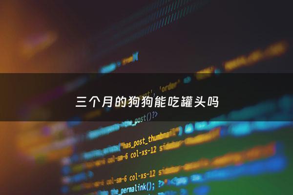 三个月的狗狗能吃罐头吗 - 三个月的狗狗能吃罐头吗怎么喂