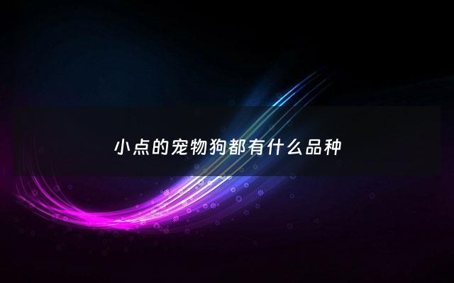 小点的宠物狗都有什么品种 - 特别小的宠物狗