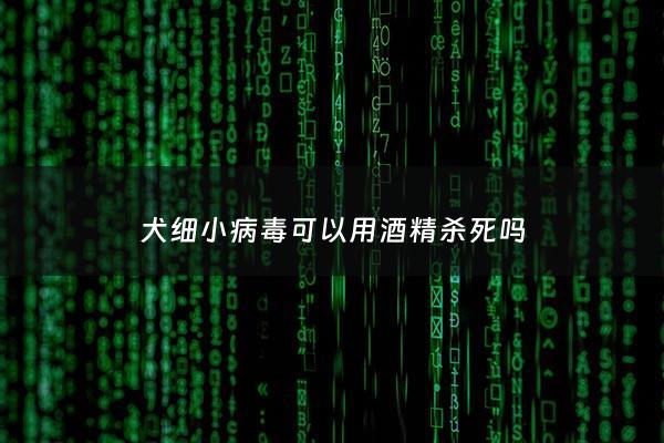 犬细小病毒可以用酒精杀死吗 - 狗狗细小病毒用75℃酒精能杀死吗