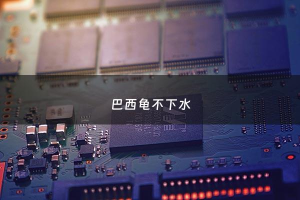 巴西龟不下水 - 巴西龟不下水龟壳会出问题么