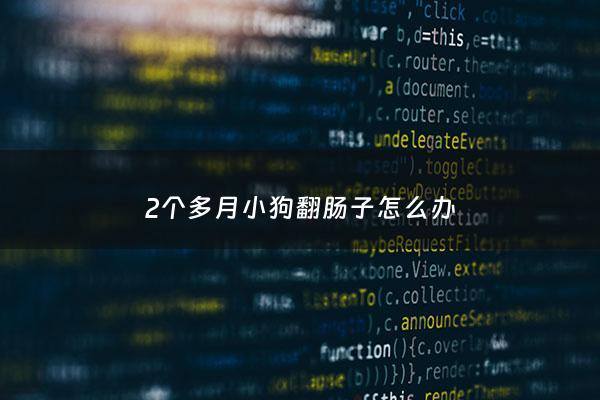 2个多月小狗翻肠子怎么办 - 两个月小狗翻肠子怎么办
