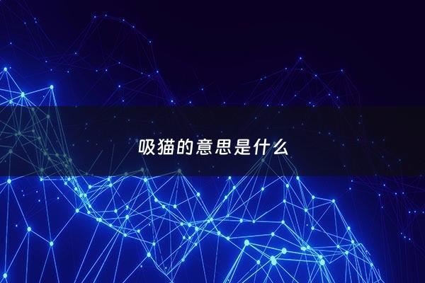 吸猫的意思是什么 - 吸猫是啥意思 咋吸