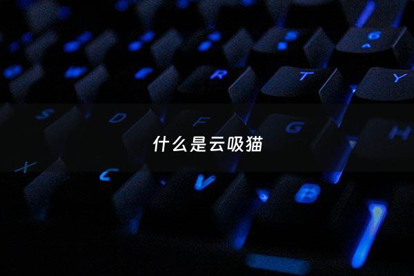 什么是云吸猫 - 云吸猫是啥意思