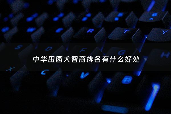 中华田园犬智商排名有什么好处 - 中华田园犬智商排名多少