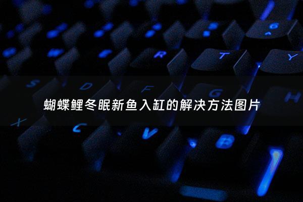 蝴蝶鲤冬眠新鱼入缸的解决***图片 - 蝴蝶鲤冬天的养殖***