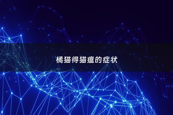 橘猫得猫瘟的症状 - 橘猫会携带哪些病毒