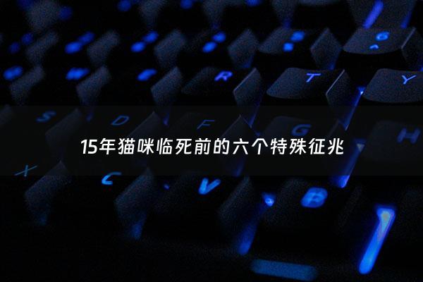 15年猫咪临死前的六个特殊征兆 - 猫临死之前的症状