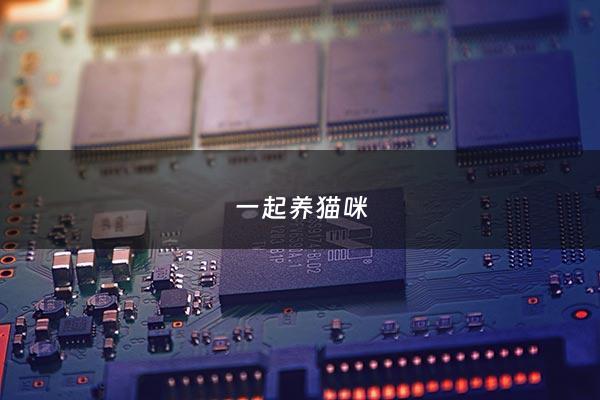 一起养猫咪 - 一起养猫咪真的能***吗