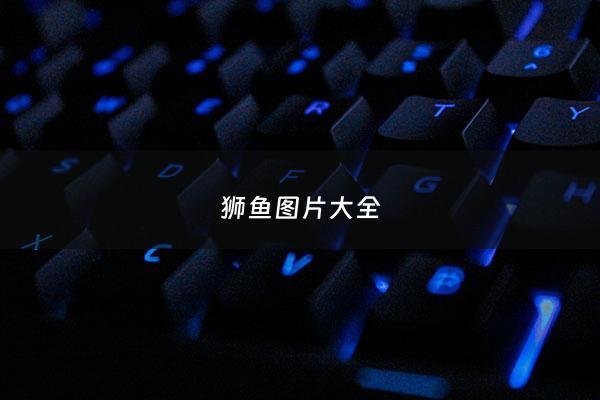 狮鱼图片大全 - 狮子鱼图片高清